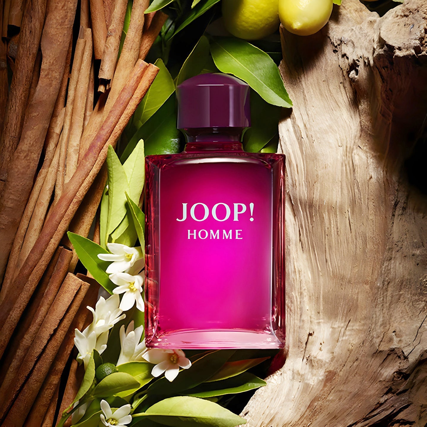 Joop! Homme Eau De Toilette Spray 200 ml for Men